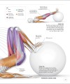 Фото Science of Strength Training 7