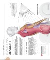 Фото Science of Strength Training 8