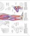 Фото Science of Strength Training 9