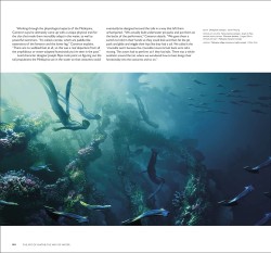 The Art of Avatar. The Way of Water
