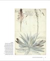 Фото Botany for the Artist 4