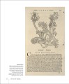 Фото Botany for the Artist 7