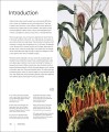 Фото Botany for the Artist 13