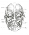 Фото Anatomy for the Artist 12