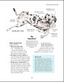Фото What's My Dog Thinking? Understand Your Dog to Give Them a Happy Life 3