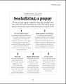 Фото What's My Dog Thinking? Understand Your Dog to Give Them a Happy Life 5