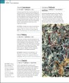 Фото Art. A Visual History 8