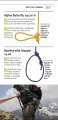Фото Knots Step by Step 10