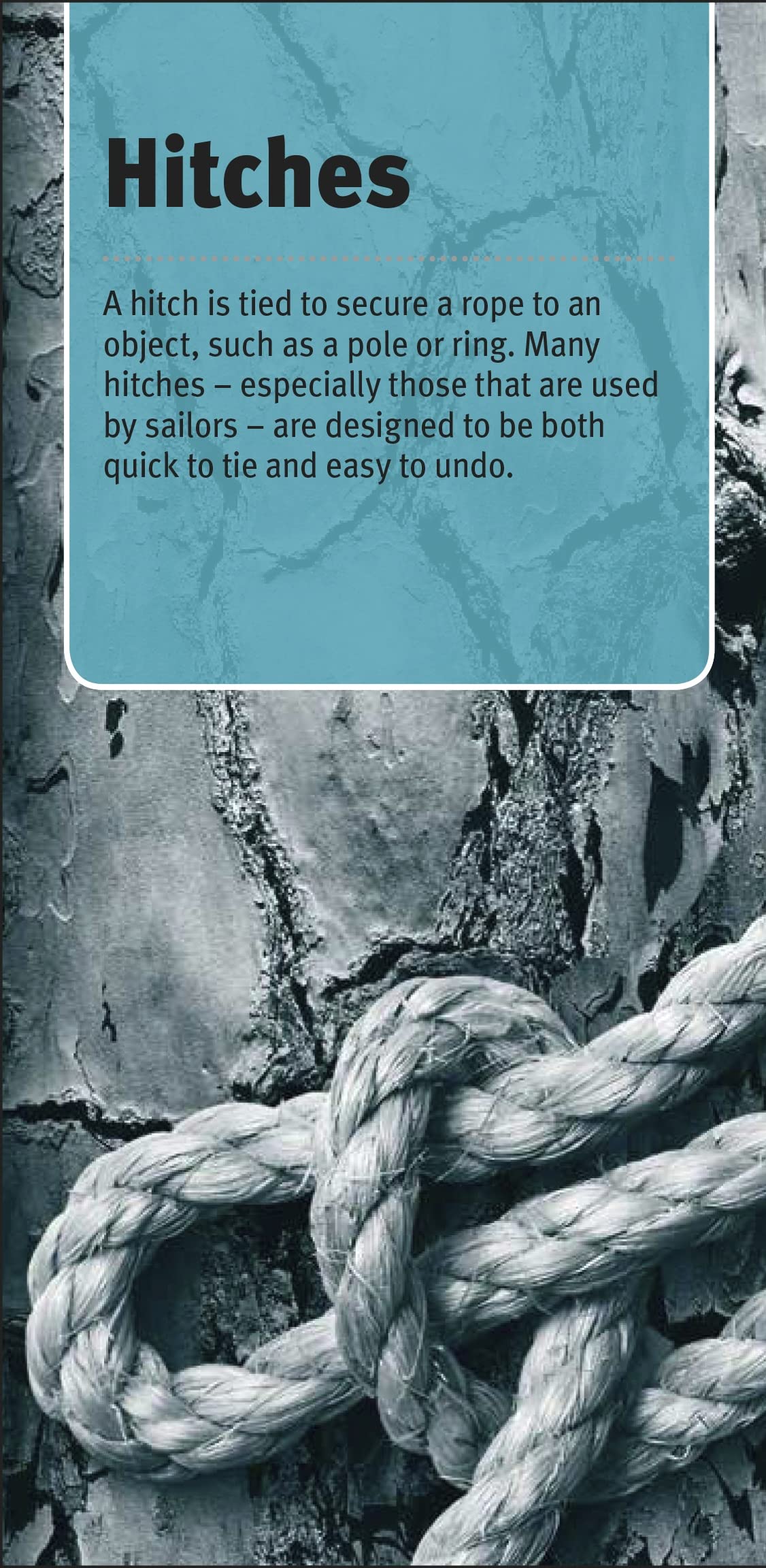 Hidden Product Image 11