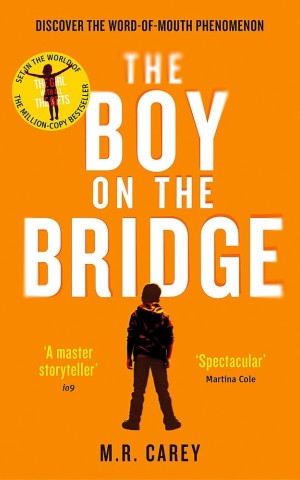 The Boy on the Bridge