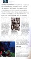 Фото Eyewitness Companions. Scuba Diving. echniques, Equipment, Marine Life, Dive Sites 4