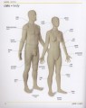 Фото Polish-English Visual Bilingual Dictionary 3