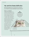 Фото What's My Cat Thinking? Understand Your Cat to Give Them a Happy Life 3