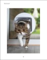 Фото What's My Cat Thinking? Understand Your Cat to Give Them a Happy Life 5