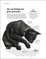 Фото What's My Cat Thinking? Understand Your Cat to Give Them a Happy Life 7