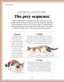 Фото What's My Cat Thinking? Understand Your Cat to Give Them a Happy Life 9