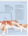 Фото What's My Cat Thinking? Understand Your Cat to Give Them a Happy Life 12