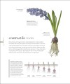 Фото The Science of Plants 3