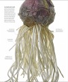 Фото The Science of Plants 4