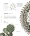 Фото The Science of Plants 5