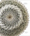 Фото The Science of Plants 6