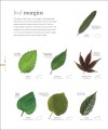 Фото The Science of Plants 7