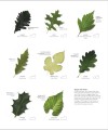 Фото The Science of Plants 8
