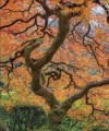 Фото The Science of Plants 11