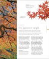 Фото The Science of Plants 12