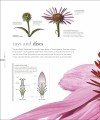 Фото The Science of Plants 13