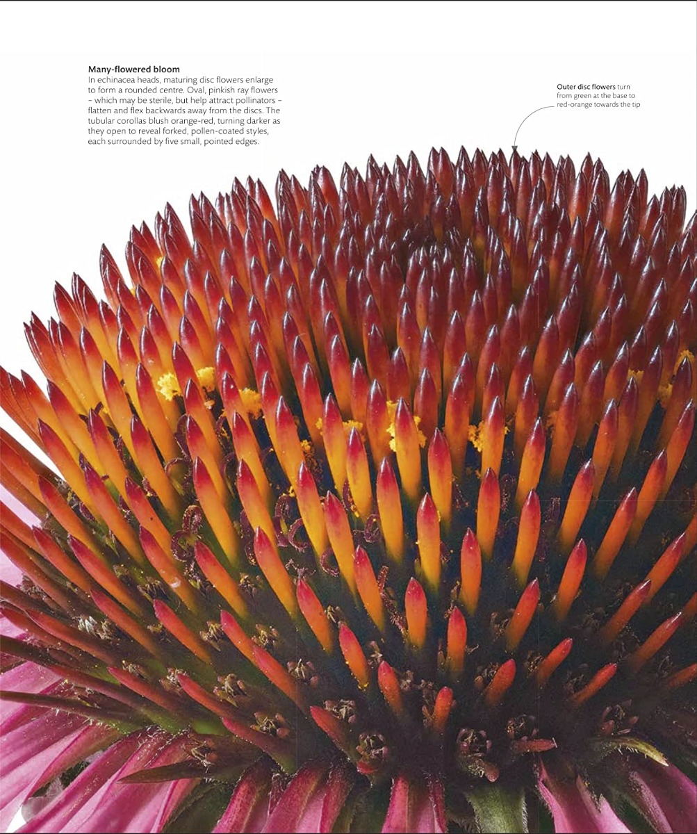 Hidden Product Image 14