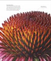 Фото The Science of Plants 14