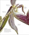 Фото The Science of Plants 15