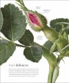Фото The Science of Plants 17