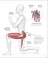 Фото Science of HIIT 6