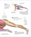 Фото Science of HIIT 8