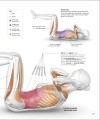 Фото Science of HIIT 10