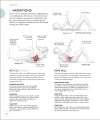 Фото Science of HIIT 11