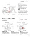 Фото Science of HIIT 12