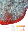 Фото The Science of the Earth 6