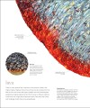 Фото The Science of the Earth 8