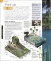 Фото Ocean. The Definitive Visual Guide 7