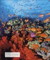 Фото Ocean. The Definitive Visual Guide 8