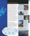 Фото Ocean. The Definitive Visual Guide 9
