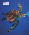 Фото Ocean. The Definitive Visual Guide 10