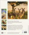 Фото Wildlife of Britain and Ireland 2