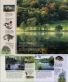 Фото Wildlife of Britain and Ireland 5