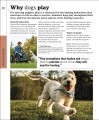 Фото The Beginner's Dog Training Guide 3