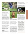 Фото The Beginner's Dog Training Guide 4
