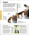 Фото The Beginner's Dog Training Guide 5